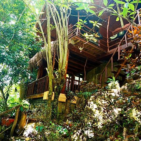 Jungle Face Inn Ella Exteriér fotografie