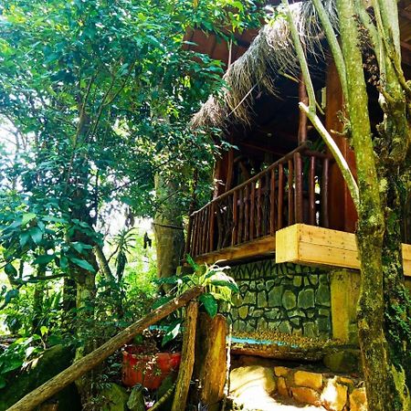 Jungle Face Inn Ella Exteriér fotografie