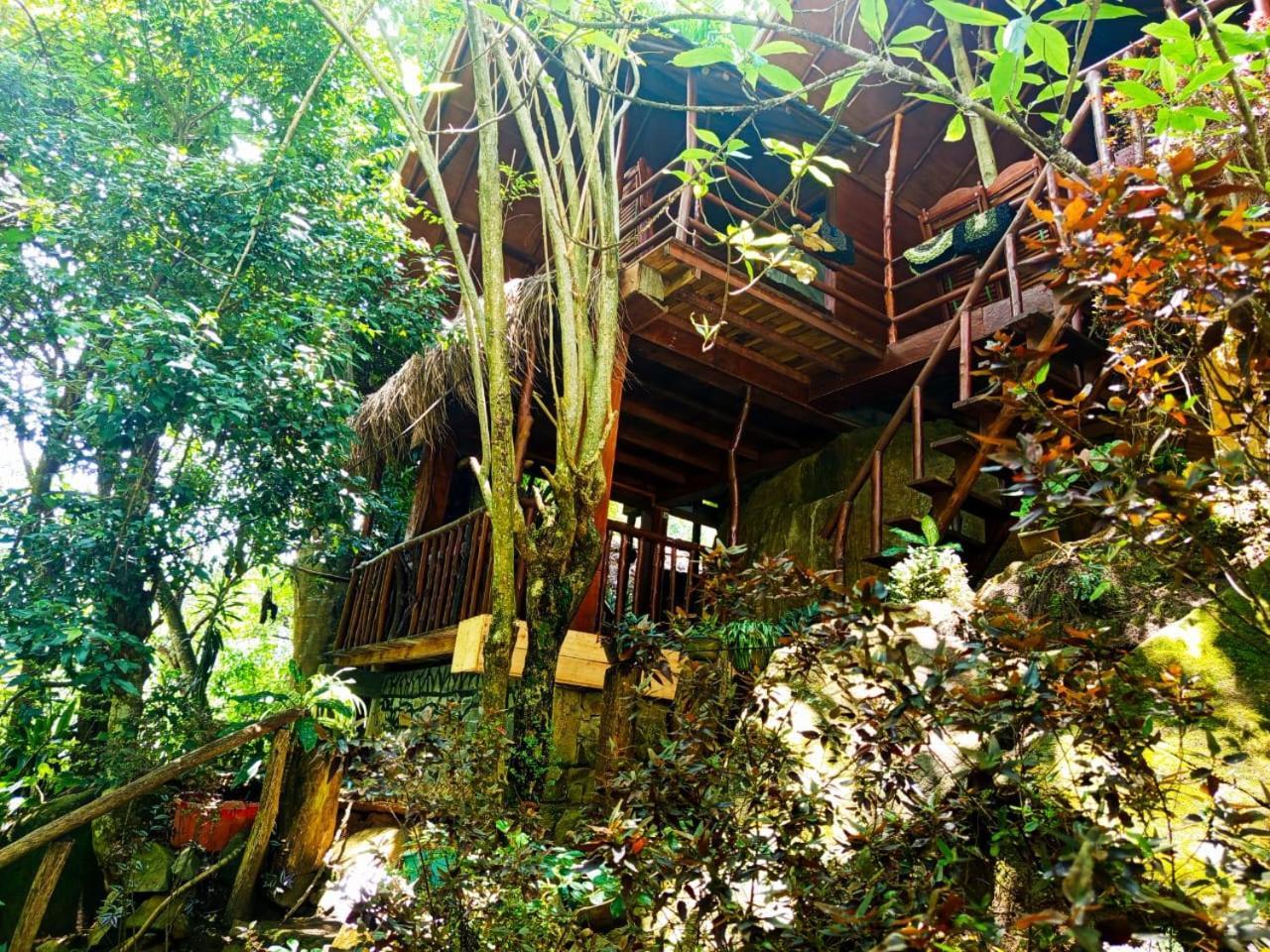 Jungle Face Inn Ella Exteriér fotografie