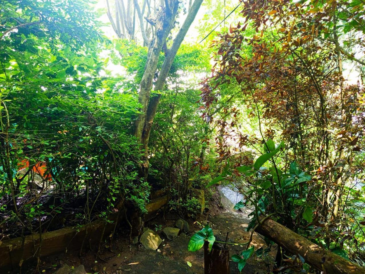 Jungle Face Inn Ella Exteriér fotografie