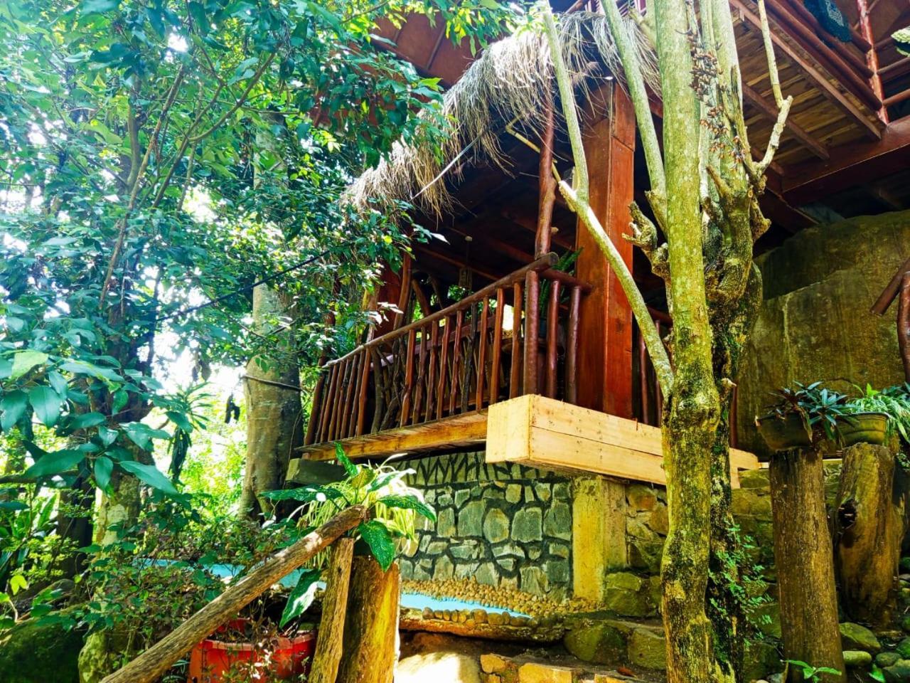 Jungle Face Inn Ella Exteriér fotografie