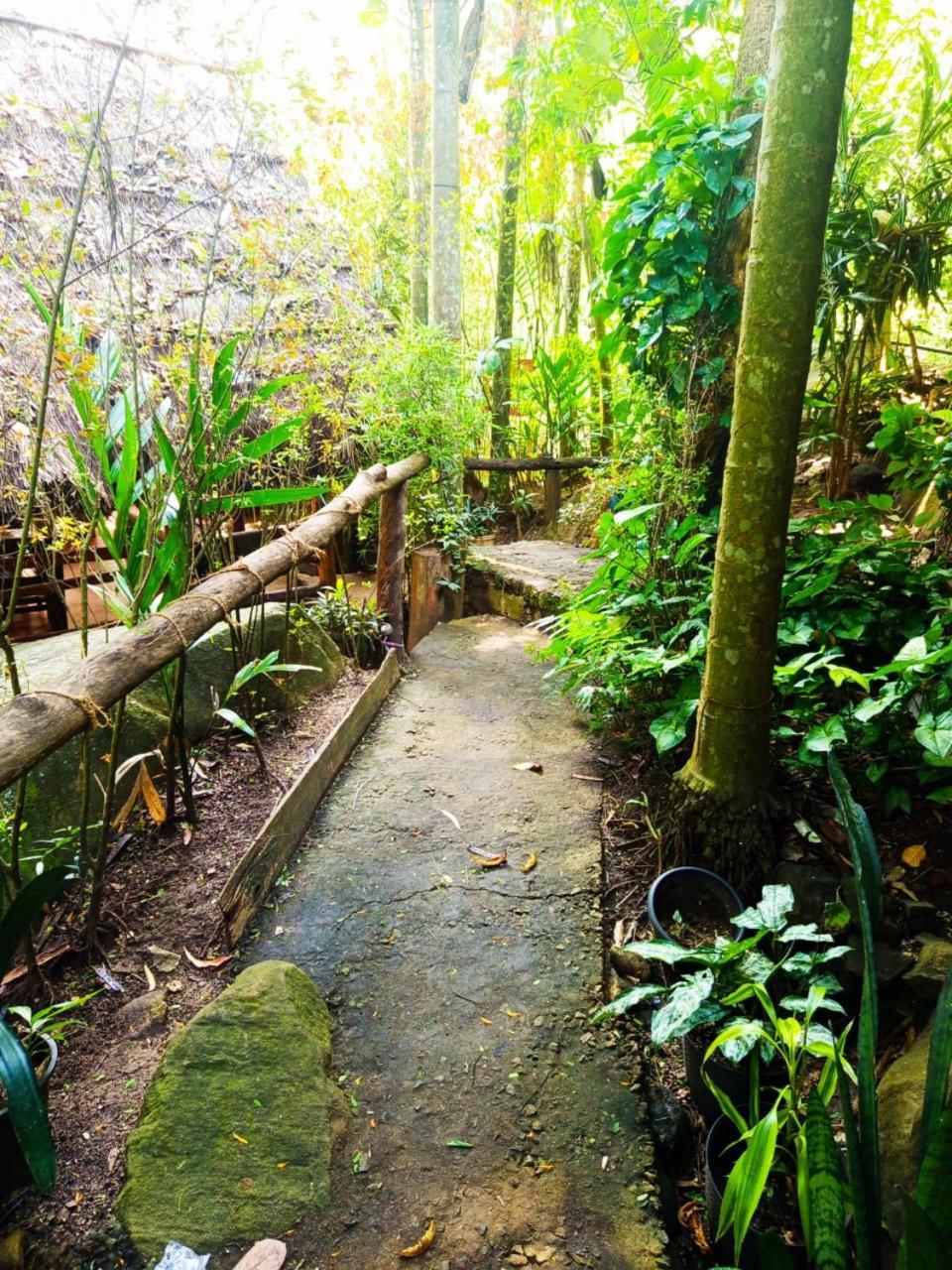 Jungle Face Inn Ella Exteriér fotografie
