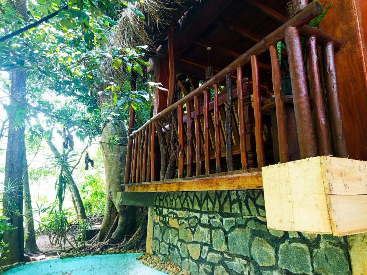 Jungle Face Inn Ella Exteriér fotografie