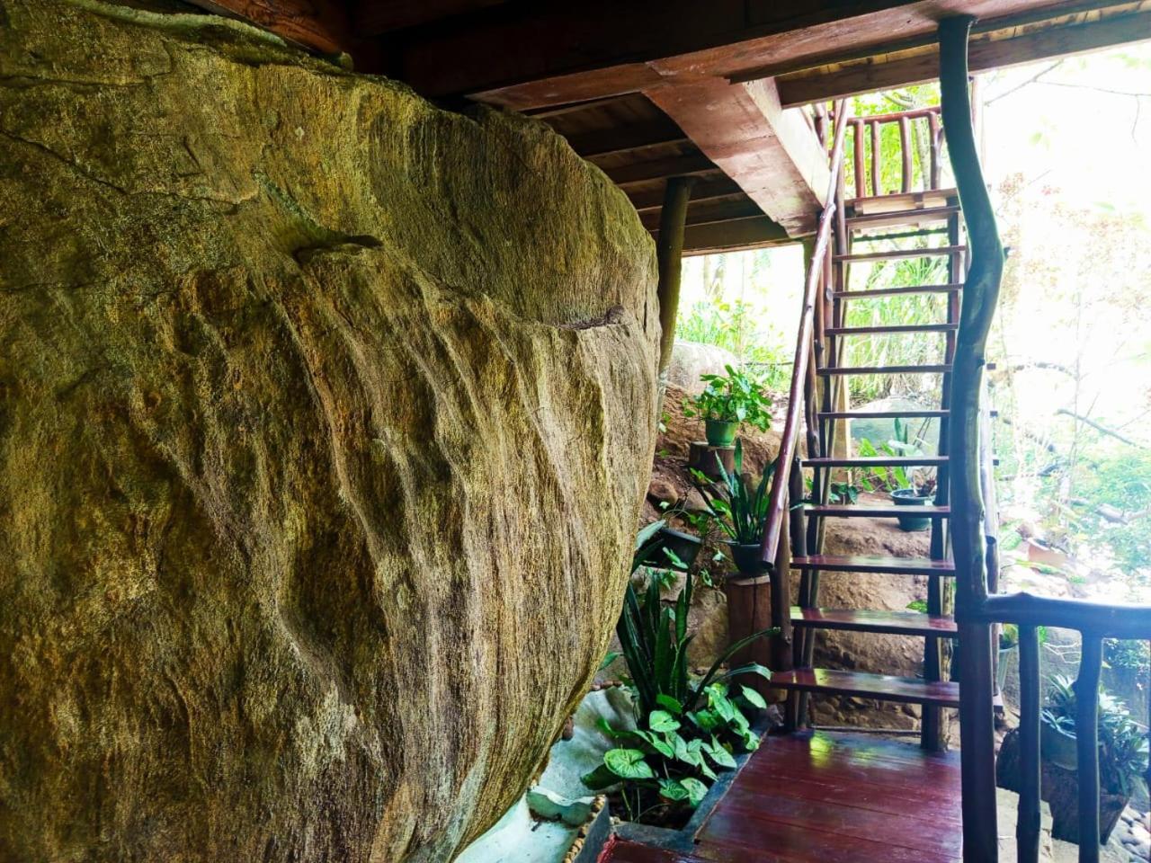 Jungle Face Inn Ella Exteriér fotografie
