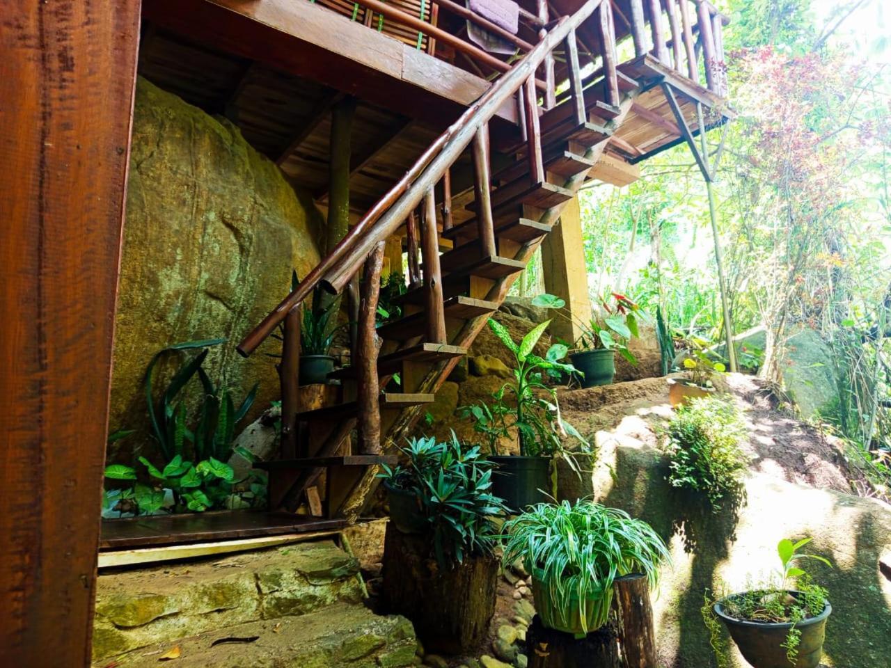 Jungle Face Inn Ella Exteriér fotografie