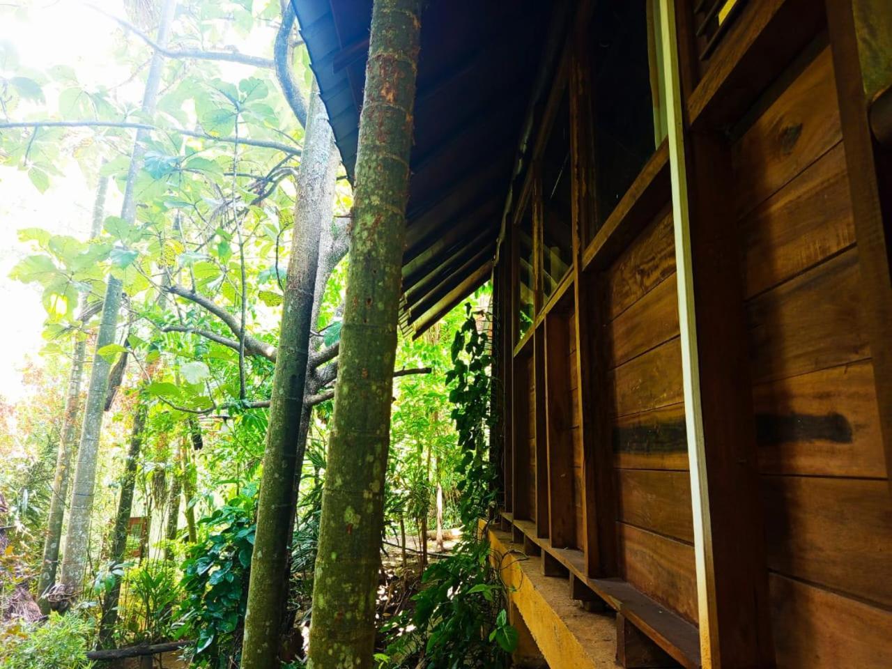 Jungle Face Inn Ella Exteriér fotografie