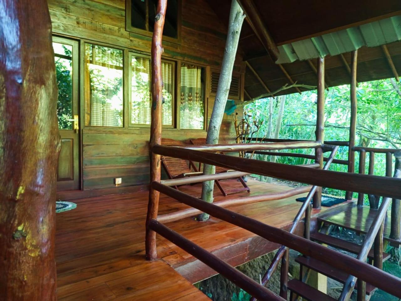 Jungle Face Inn Ella Exteriér fotografie
