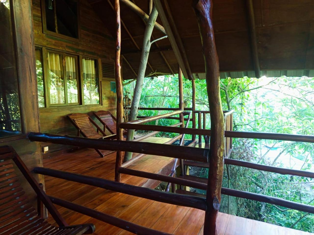 Jungle Face Inn Ella Exteriér fotografie